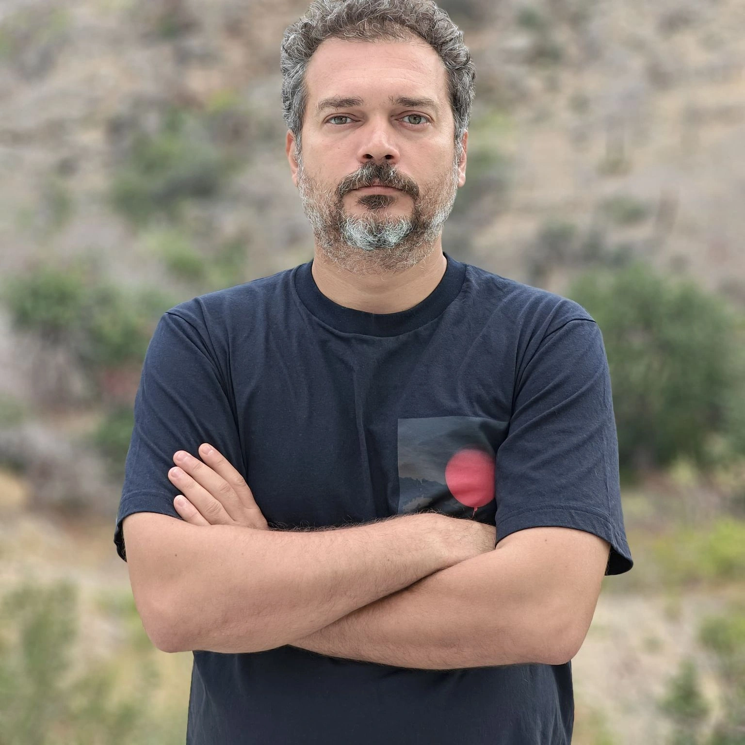 Andrei Dudea