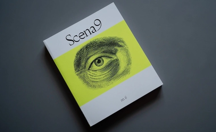 Revista Scena9 #6: Greșeli