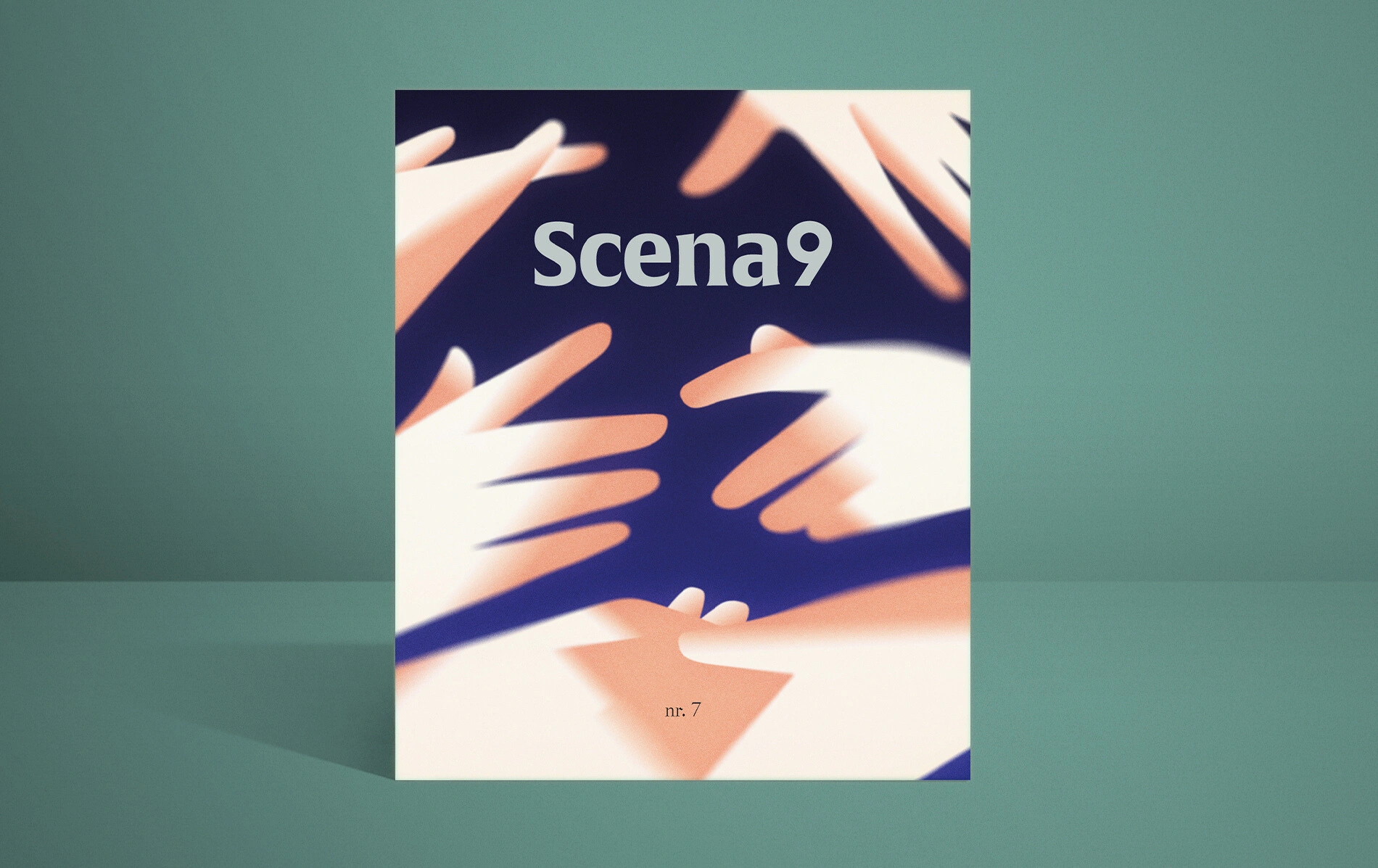 Revista Scena9 #7: Ce ascundem?